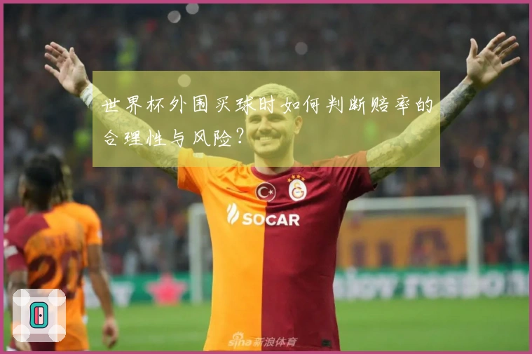 世界杯外围买球时如何判断赔率的合理性与风险?